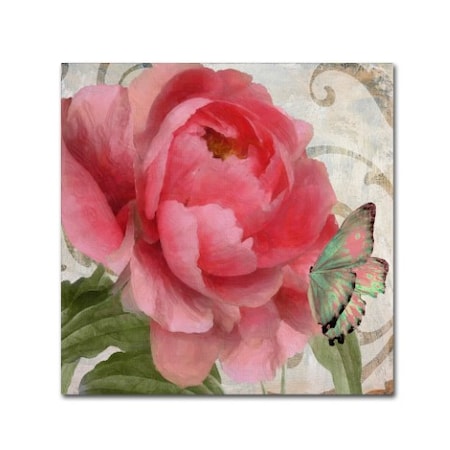 Color Bakery 'Apricot Peonies II' Canvas Art,35x35